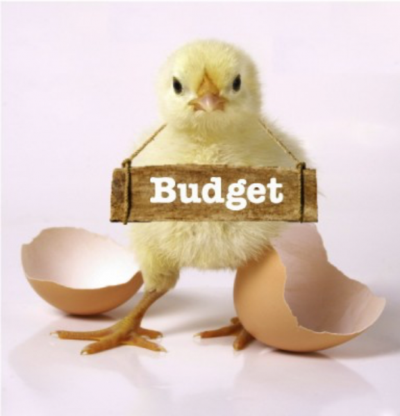Baby chick that just hatched with a budget sign over its neck
