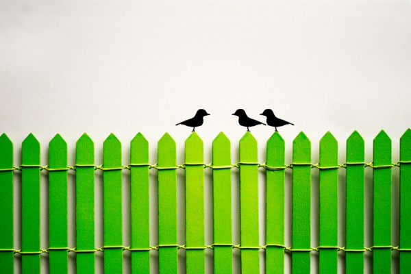 campaign advertising black birds perching on a green fence